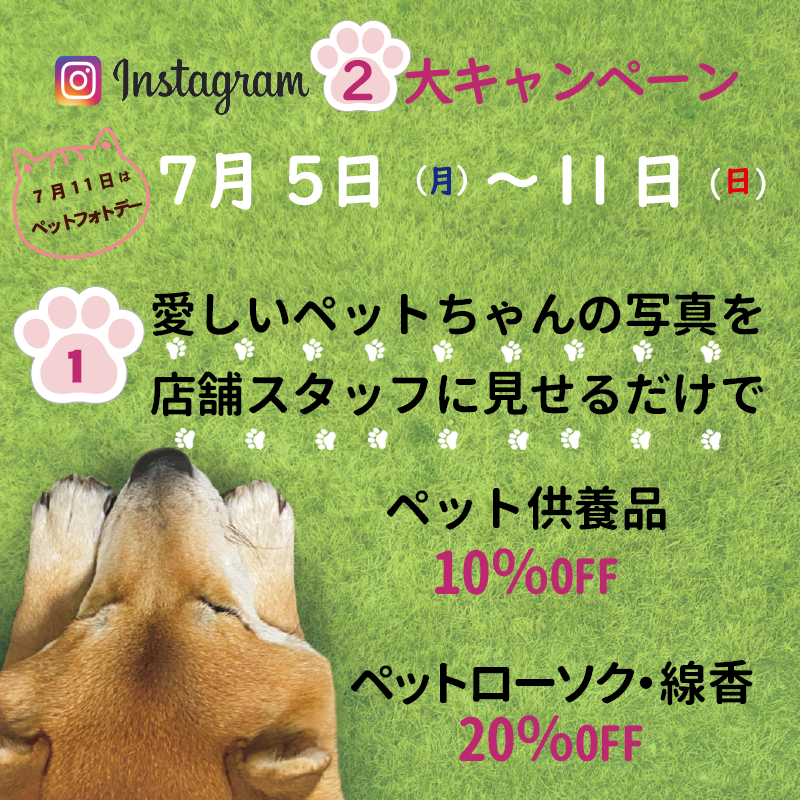 ペットフォトデー１