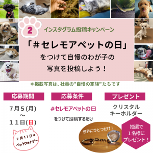 ペットフォトデー２