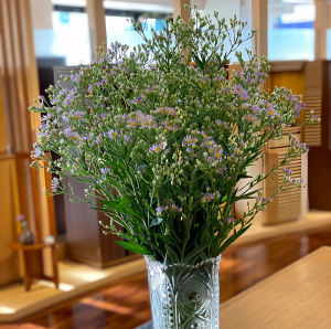 紫苑　秋彼岸花　東大和本店