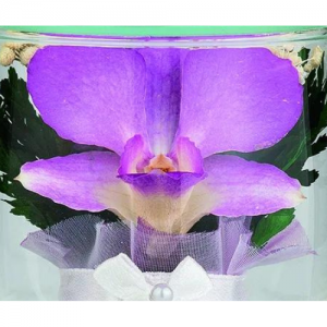 セレモア　京王聖蹟桜ケ丘店　お盆時期の供花にも最適ガラスの容器がおしゃれなプリエールのご紹介です　ドライフラワー　美しい色合い　画像