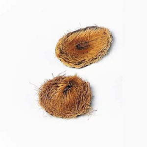 セレモア　京王聖蹟桜ケ丘店　お線香の意味　麝香　画像