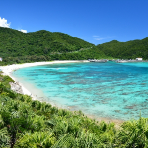 散骨とは、どういった供養方法なのか？　海洋散骨についてご紹介致します　散骨が選ばれる理由　自然に還りたいとの思いから　イメージ画像